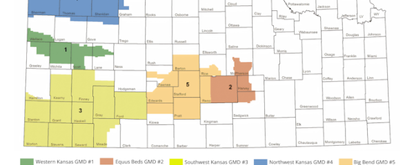 How do I fill out an online irrigation water use report?
